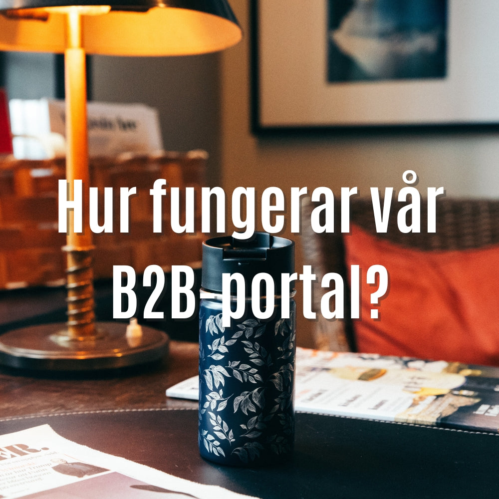 Hur fungerar vår B2B-portal egentligen?