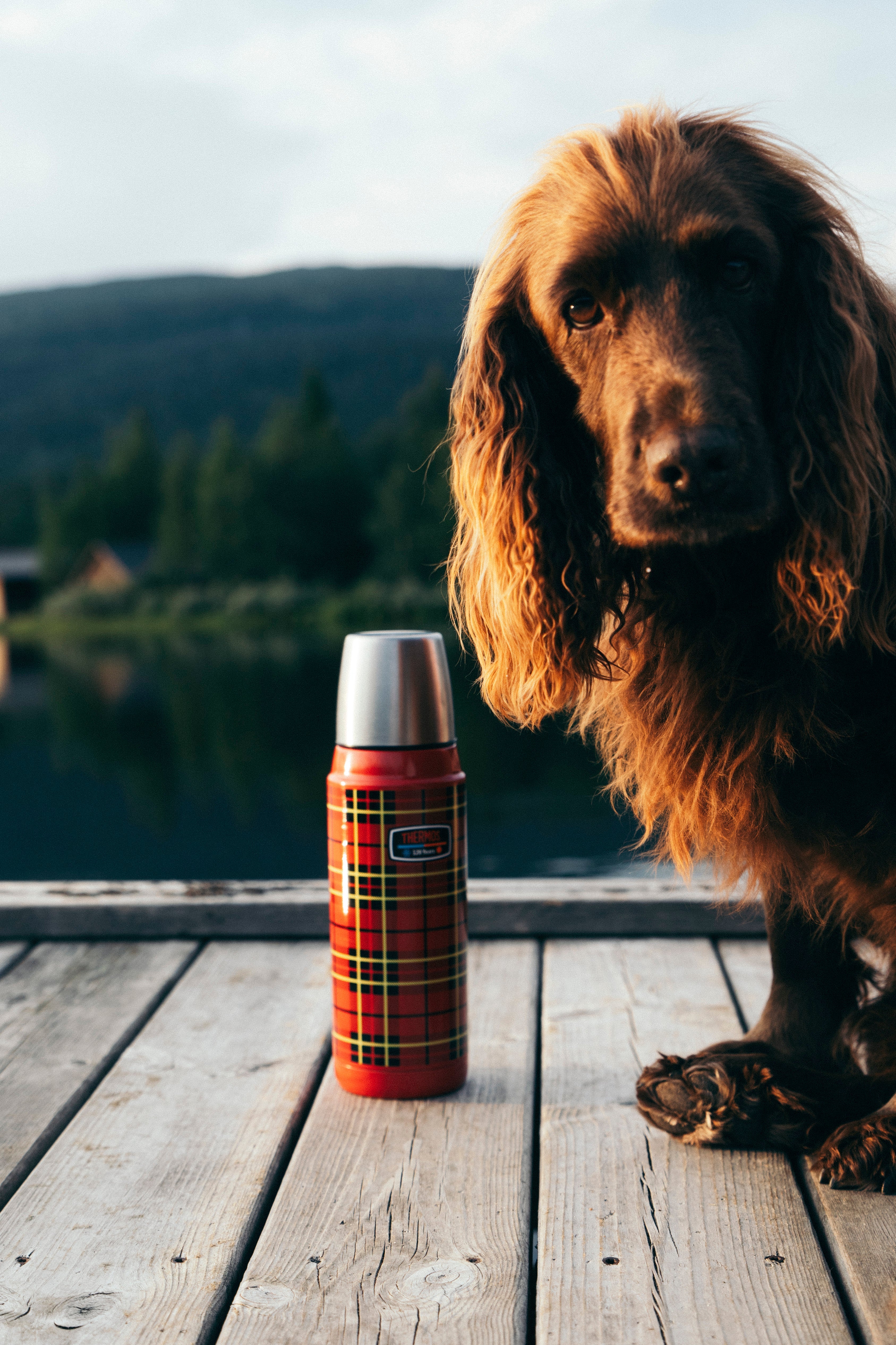 Är det dags att tänka på julklappar?